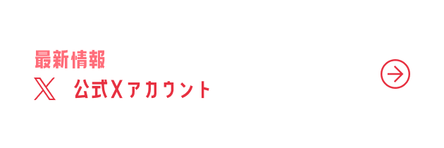 公式X